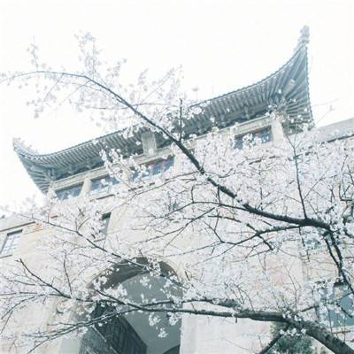中青网评：人民法院护卫中国平安